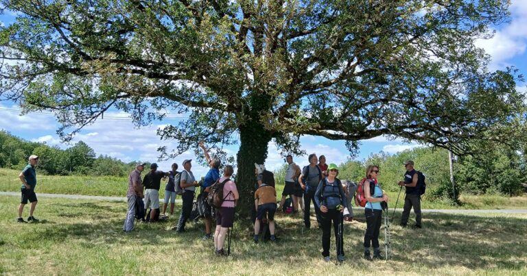 mercredi 11 juin: 3 jours en Dordogne: Saint-Amand-de-Coly 